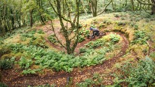 A mountain biker riding a swooping singletrack trail