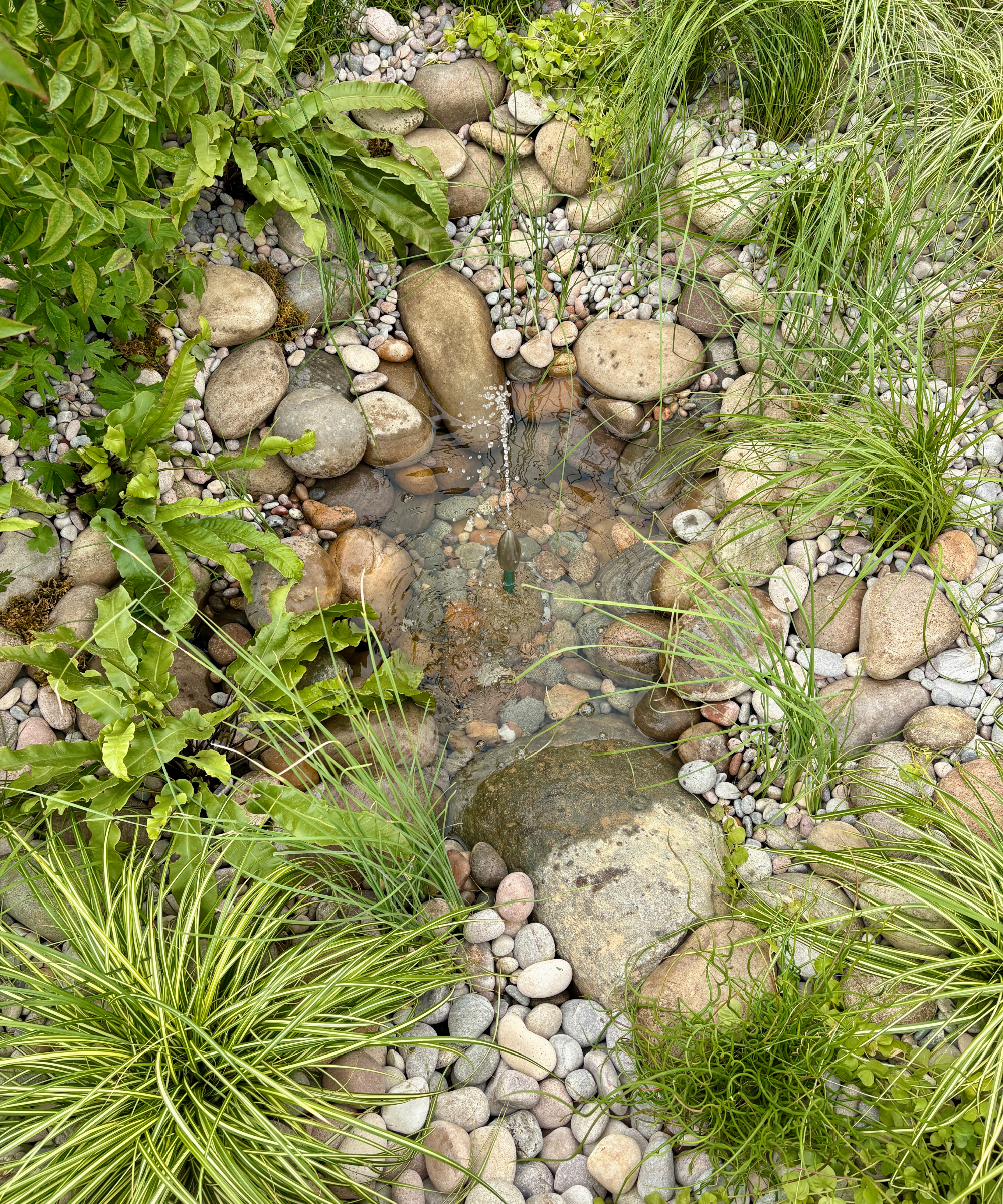 small wildlife pond in a garden