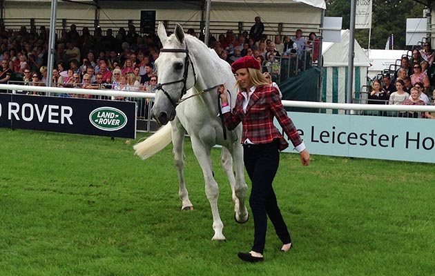Burghley-trotup