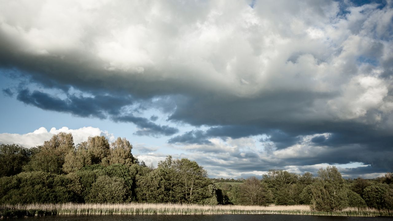 In Time-lapse Movie mode, only the final video clip is saved to the memory card. It is automatically cropped to 16:9