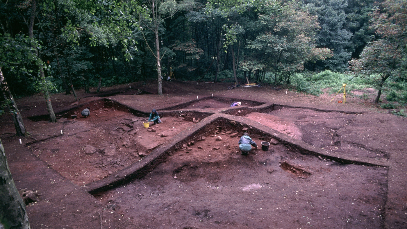 The new research about Vikings took place at the Heath Wood site, pictured during the excavation, thought to be Britain's only known Viking cremation cemetery