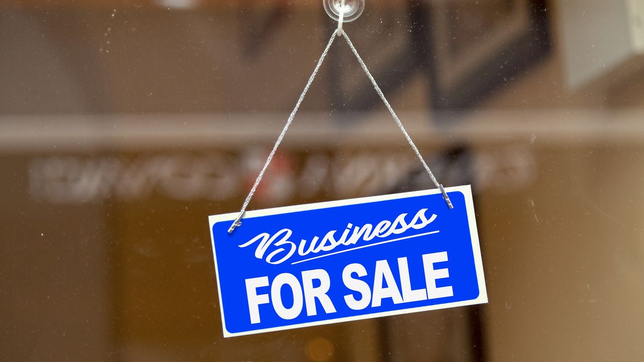 A &quot;Business for Sale&quot; sign hangs in a shop&#039;s window.