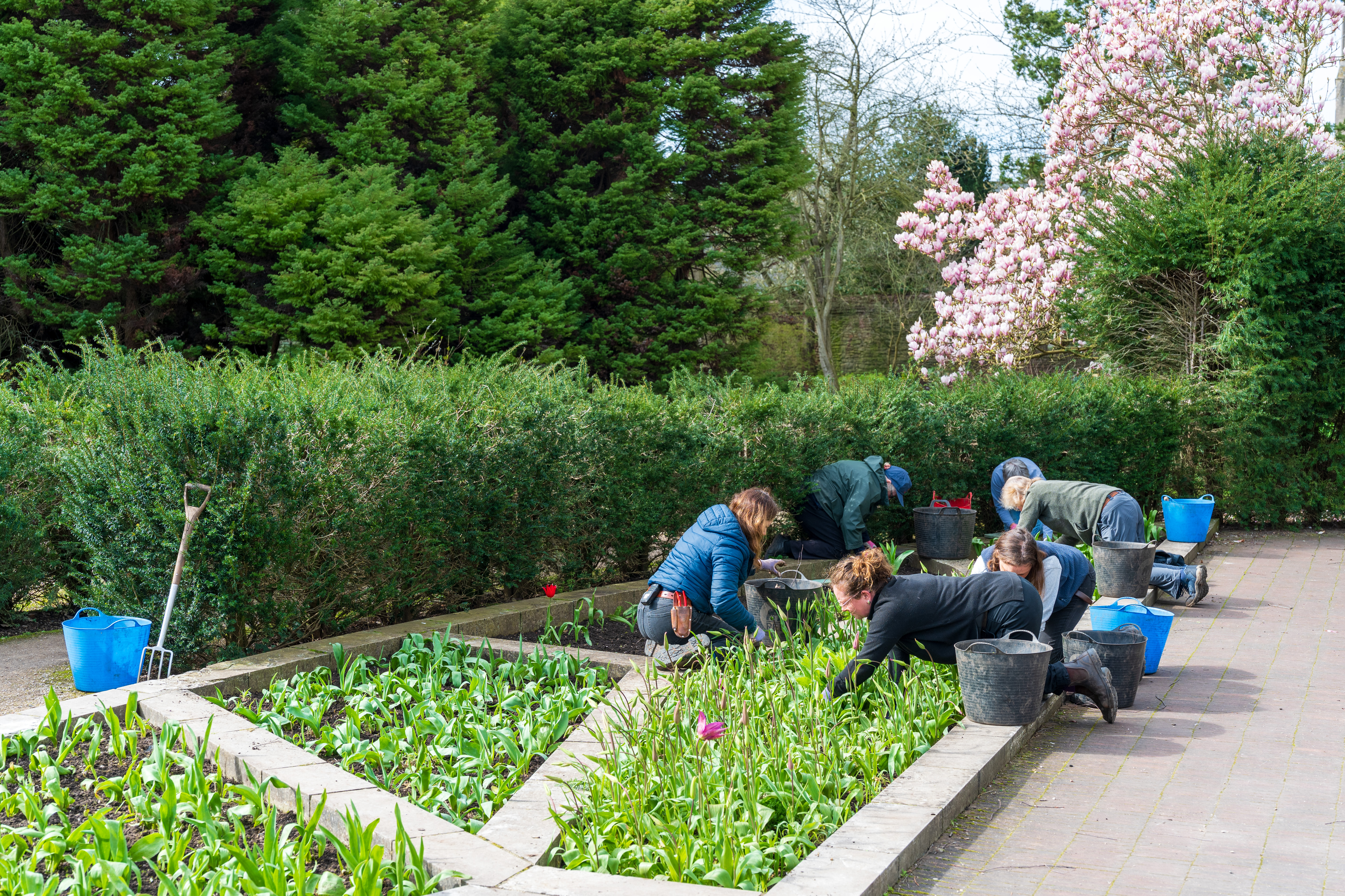 Viltrox AF 55mm f/1.8 Evo sample image