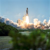 A NASA space shuttle launches into a blue sky framed by foliage and water.