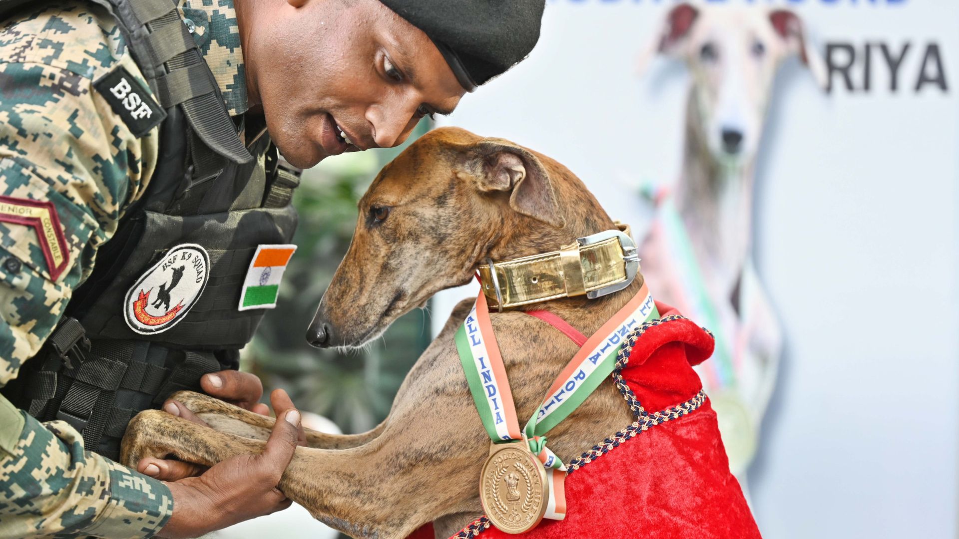 
                                A member of India’s Border Security Force holds the paws of a Mudhol Hound during a press conference in New Delhi, India
                            
