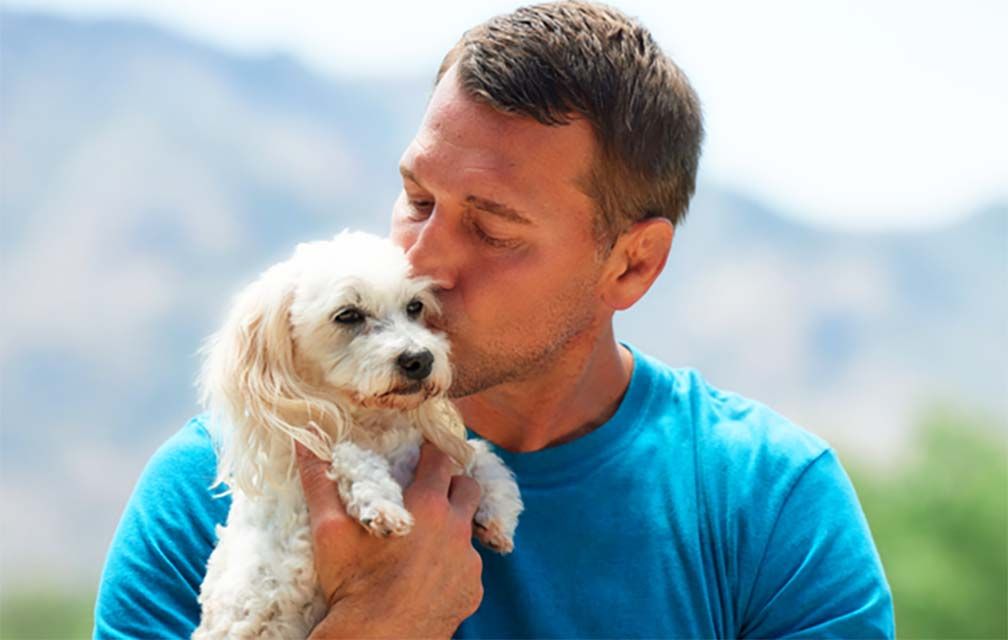 ‘Lucky Dog’ host Brandon McMillan