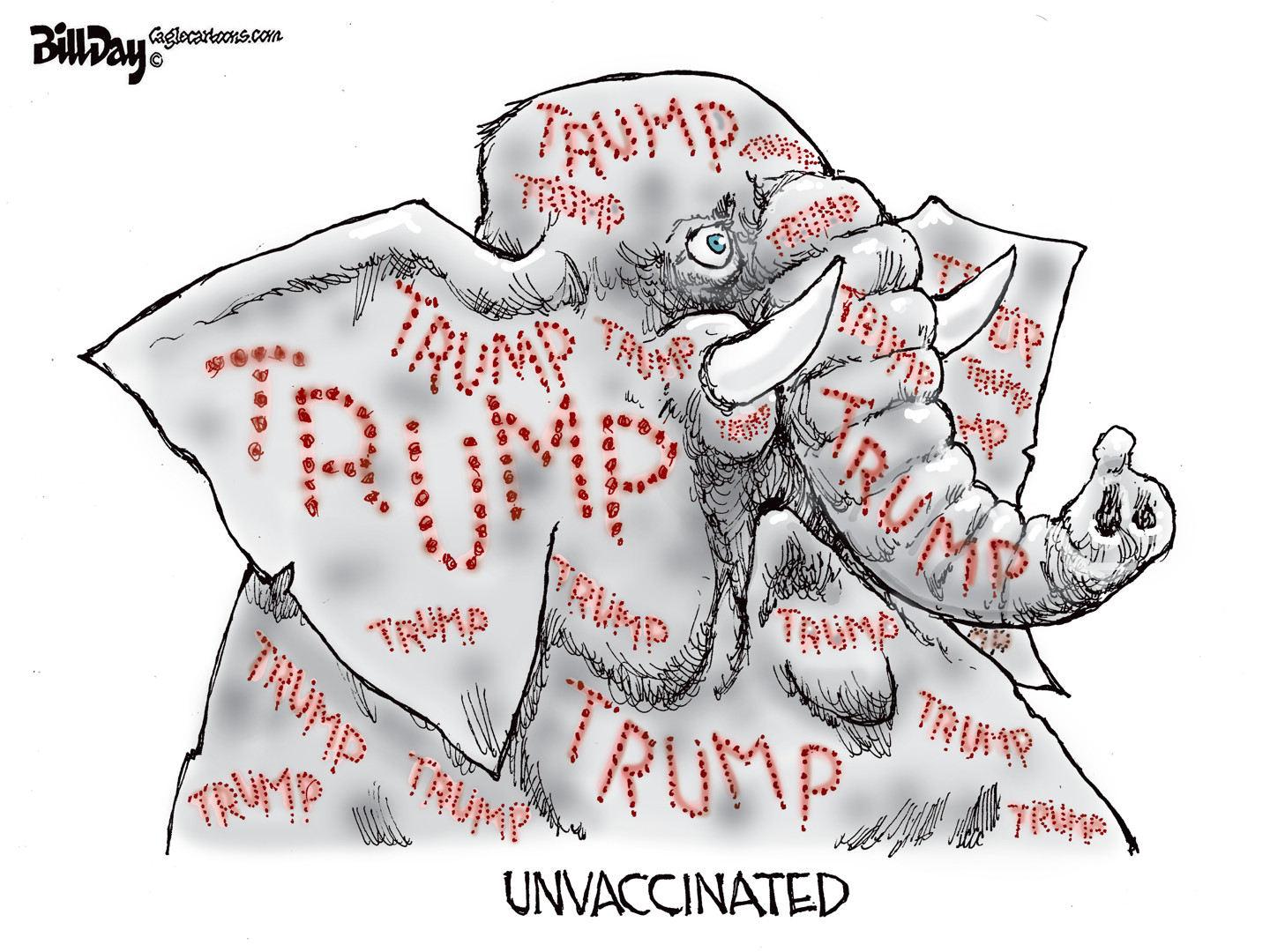 Political Cartoon