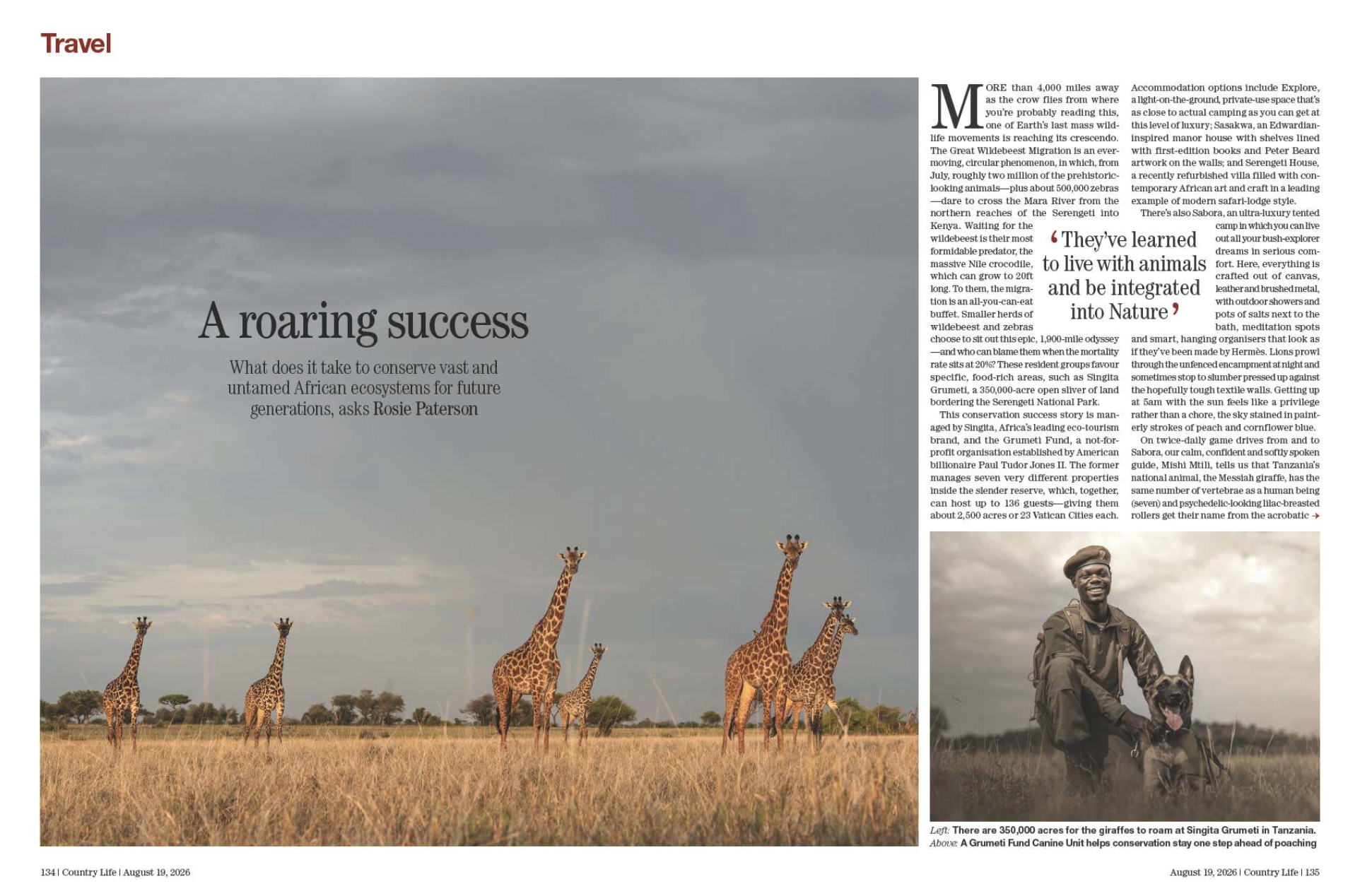 Spreads of Country Life magazine from the August 19 issue