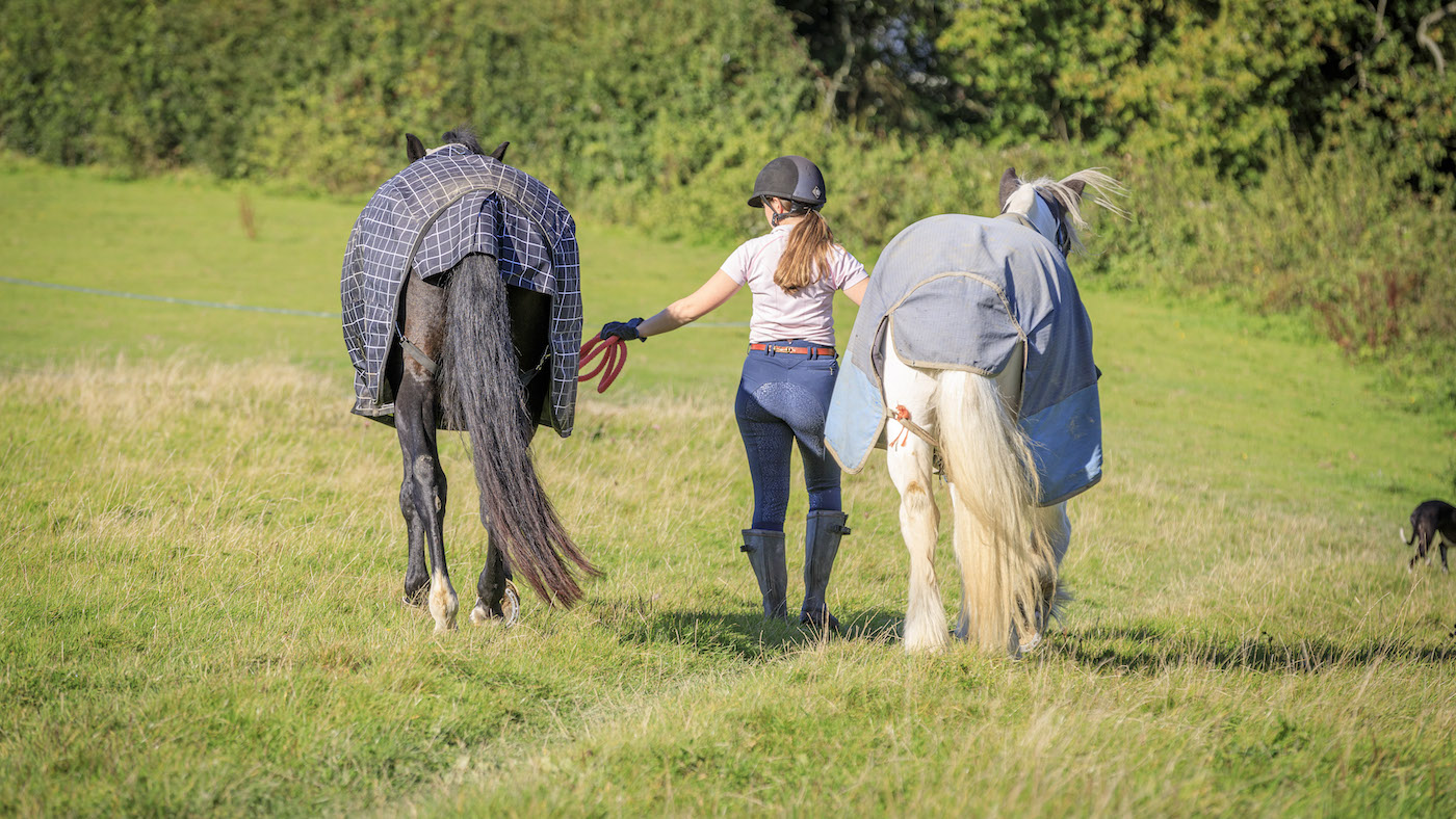 Turnout- leading horses out.