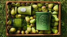 crate of green figs with green ceramic fig scented candles on top