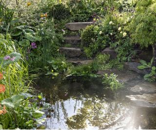 The Flood Re Flood Resilient Garden at the RHS Chelsea Flower Show