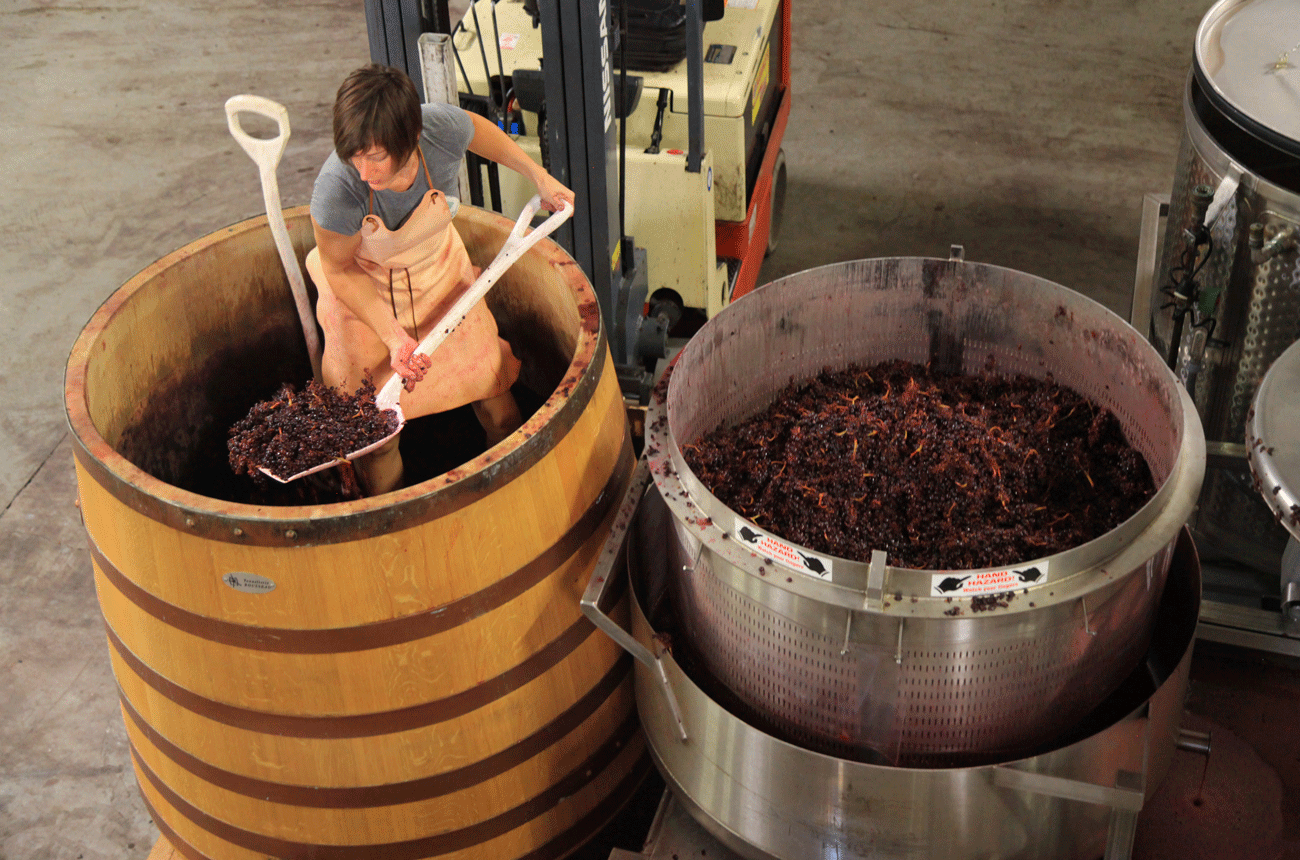 Signal Ridge Vineyard &amp;ndash; Joanna Wells