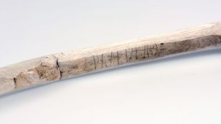 Medieval walking stick