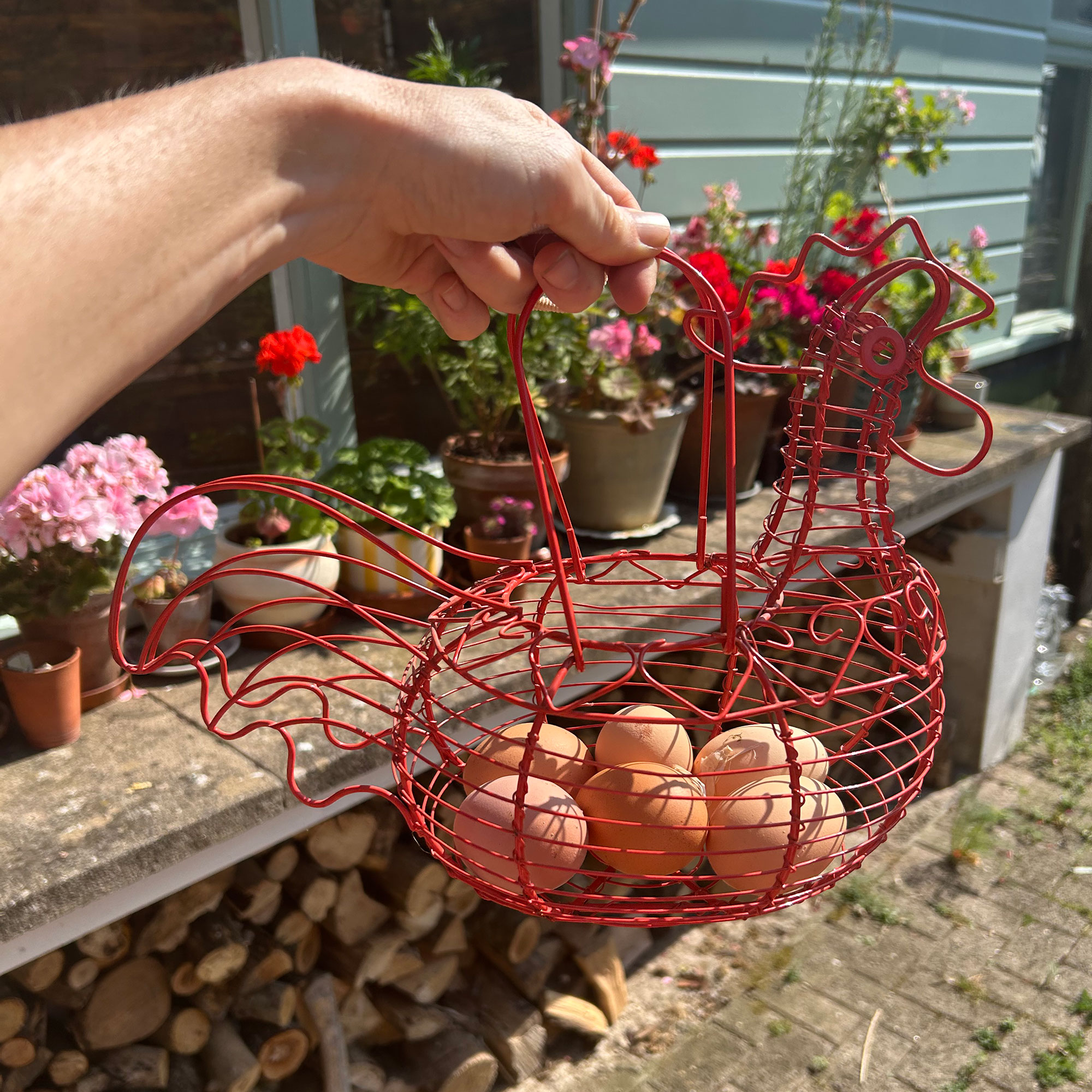 Woman's hand holding wire egg chicken full of fresh eggs while outside