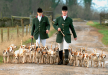 hunting-7.jpg