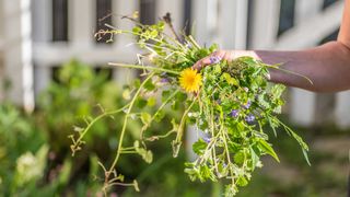 handful of garden weeds