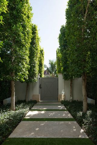 A view of a path lined with pleached trees leading to a gate