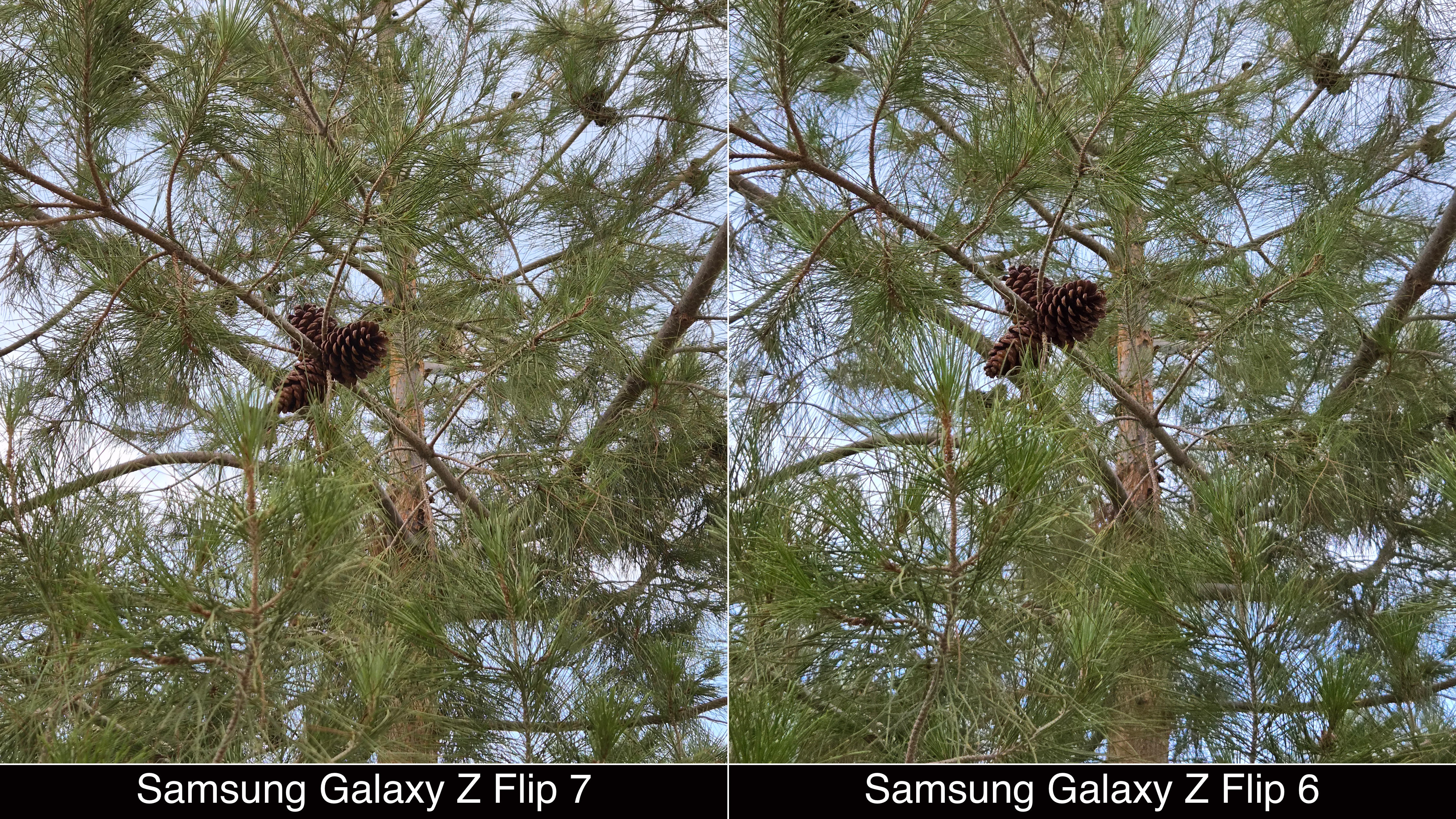 Camera comparisons shot on Samsung Galaxy Z Flip 7 and Flip 6.