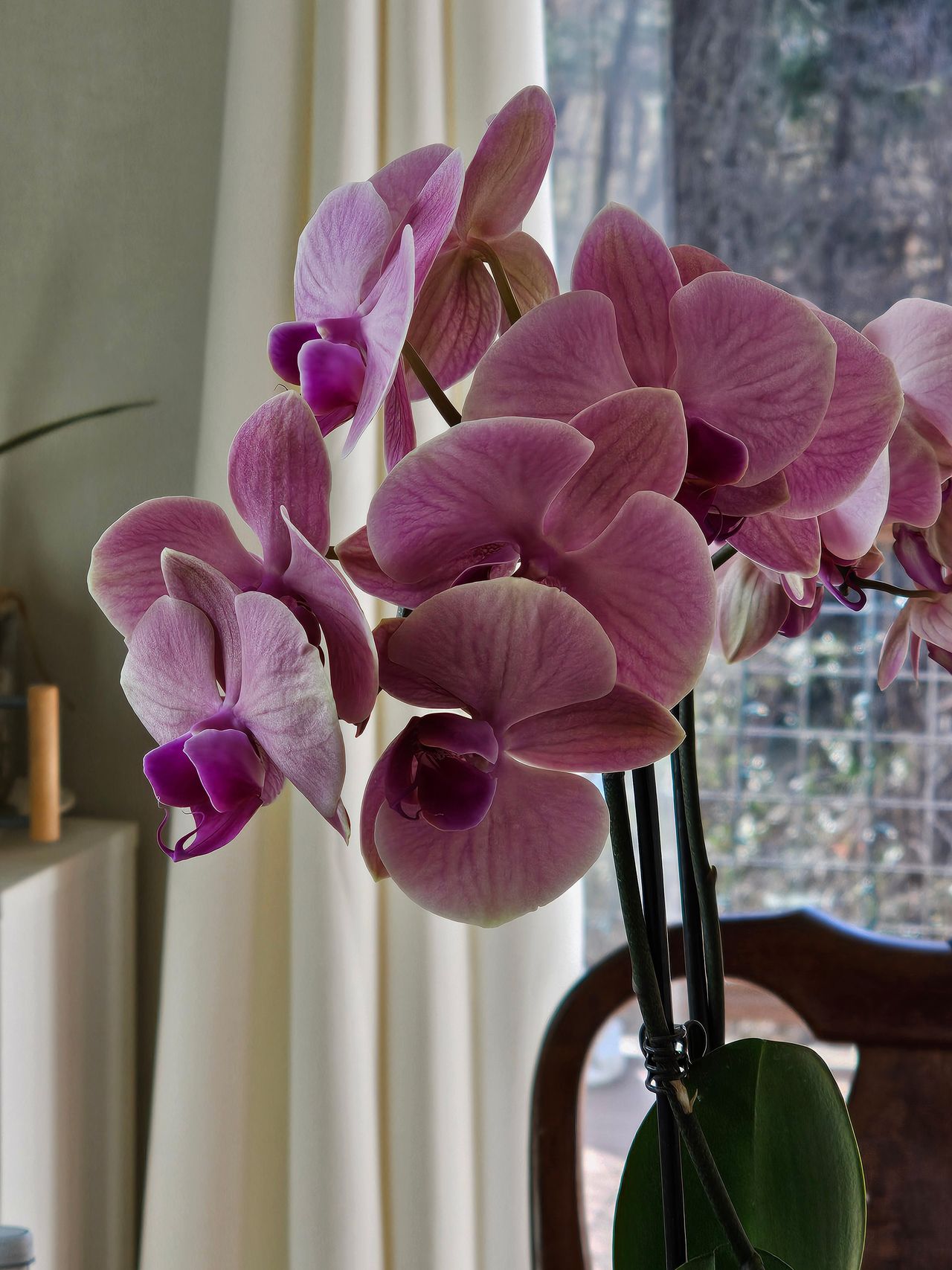 A 5x telephoto camera sample from the Samsung Galaxy S23 Ultra