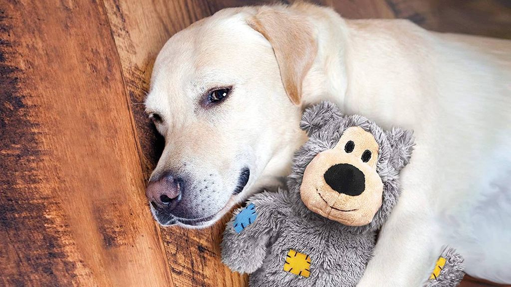 How to wash dog toys Everything you need to know PetsRadar