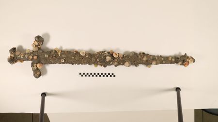 A barnacle and sand encrusted sword hangs on a white wall. 