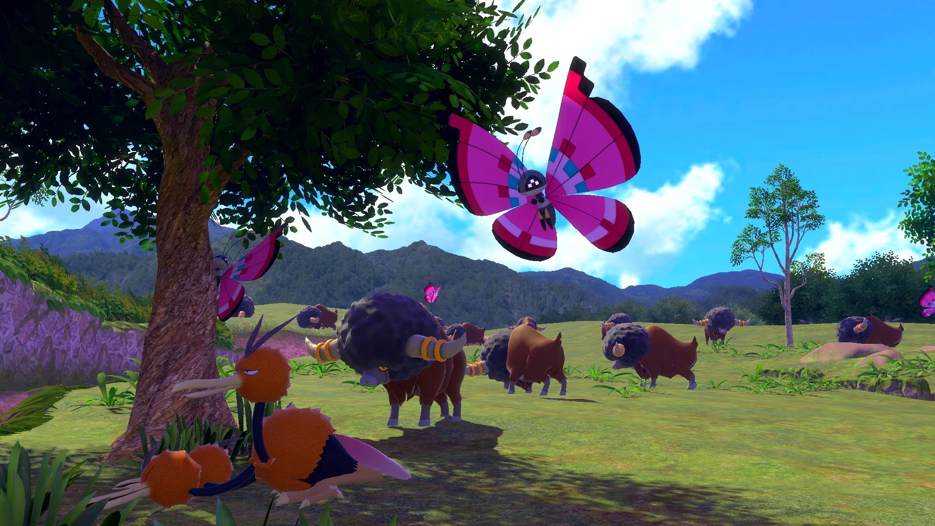 Wild Area - New Pokémon Snap
