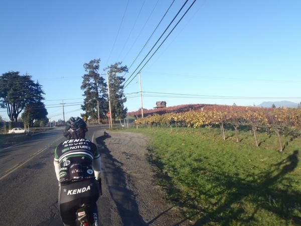 Road ride in Sebastapol, California