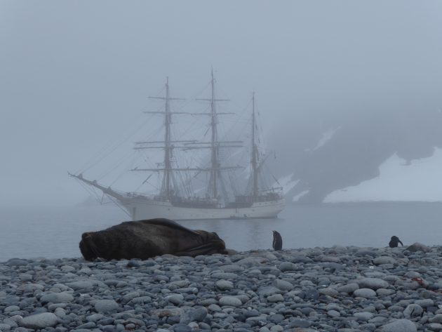 A-taste-of-Antarctica-e1519047070971.jpg