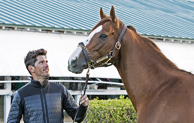 WebCalifornia-Chrome04.Nic-Roldan.1-23-17.Barbara-Livingston-photo.jpg