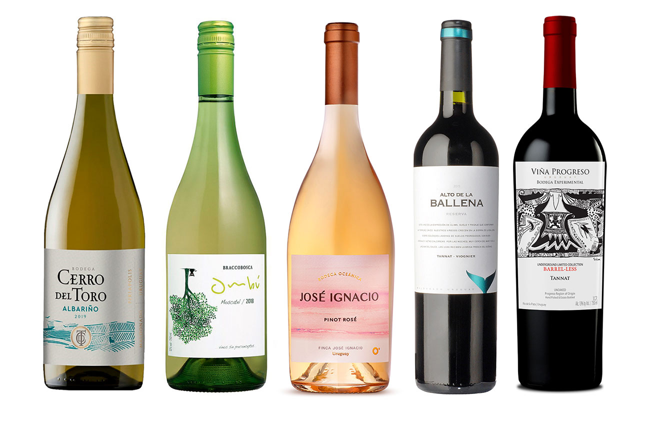 Uruguay wines