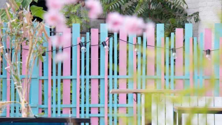 backyard garden fence color ideas with pink and blue wooden fence with light bulbs and foliage