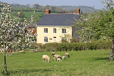 devon-property-for-sale