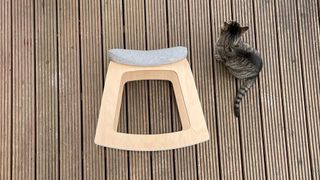 A top-down shot of the Muista chair with a cat sitting to the side.