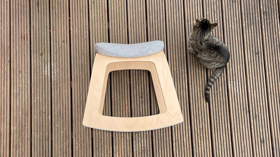 An overhead view of the Muista chair with a cat to the side.