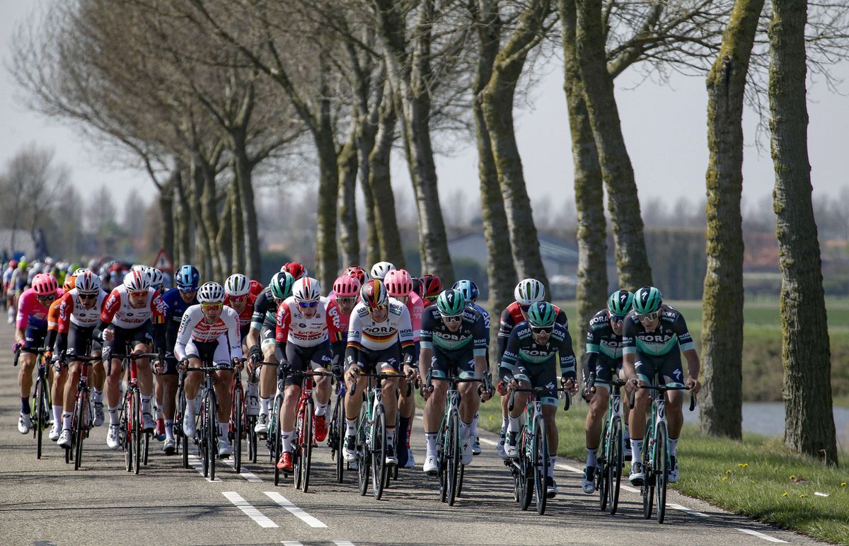 Echelons splinter the peloton in Scheldeprijs