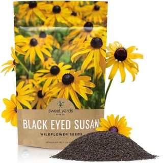 Sweet Yards Seed Co. Black Eyed Susan Seeds