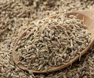 Anise seeds on wooden spoon