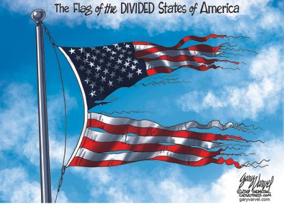 U.S. Flag divided states of America