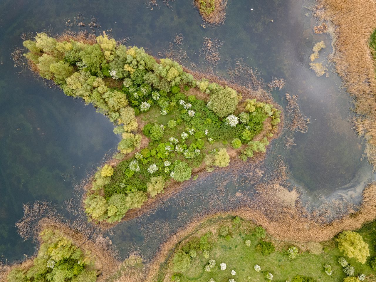 DJI Mavic Air 2 stills image quality