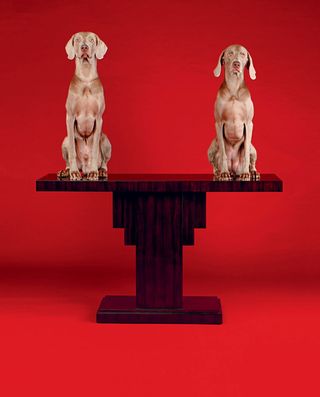 Two dogs sitting on a table