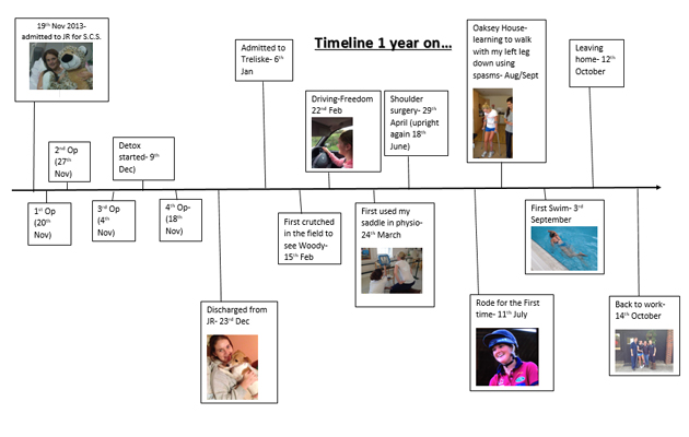 Timeline
