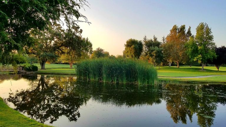Golfer Drowns After Trying To Recover His Ball From Water