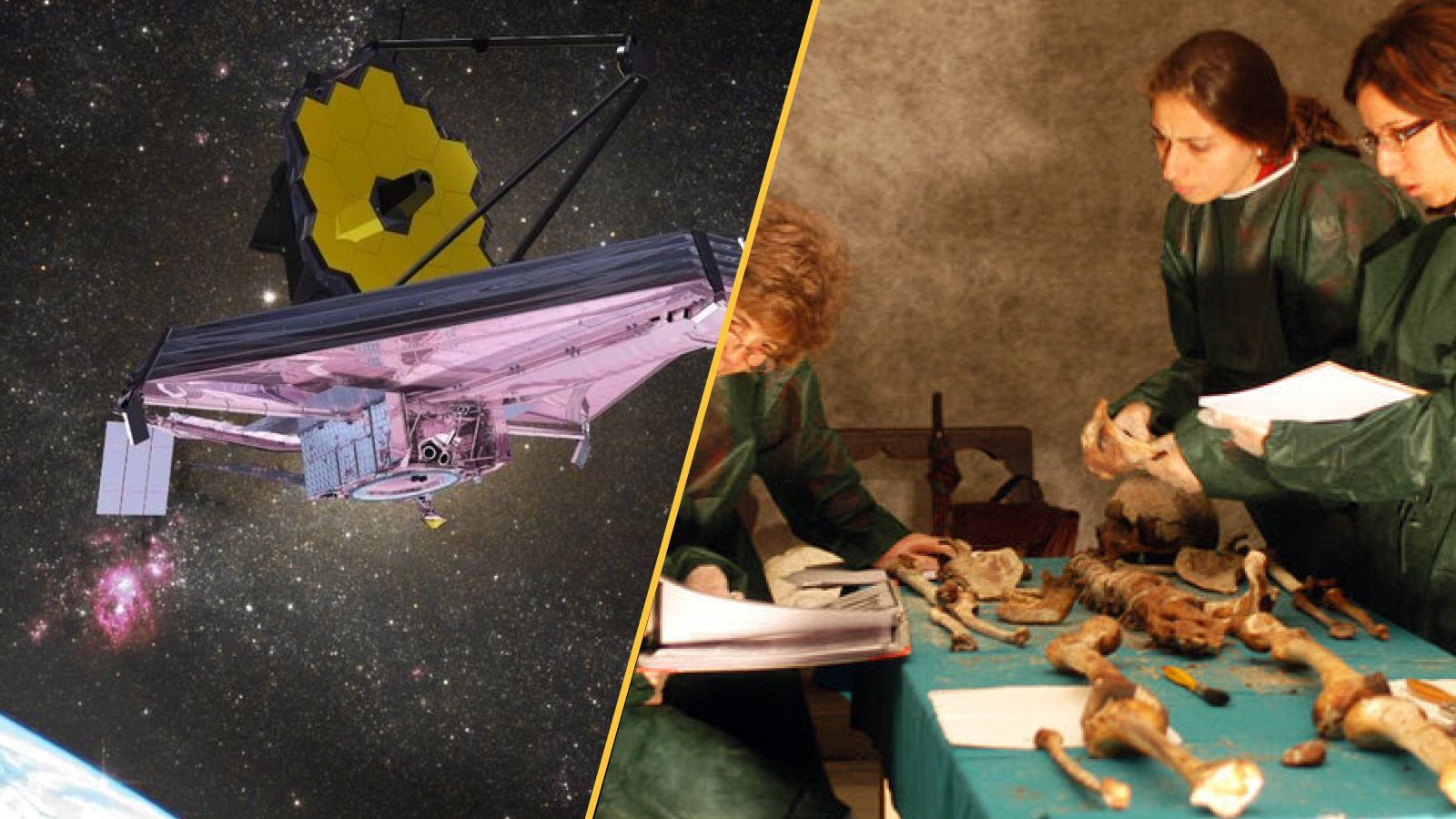 Science news this week: James Webb telescope finds a never-before-seen substance, China’s ‘Great Green Wall’ grows faster than natural trees, and a Medici murder mystery is solved Science news this week: James Webb telescope finds a never-before-seen substance, China’s ‘Great Green Wall’ grows faster than natural trees, and a Medici murder mystery is solved