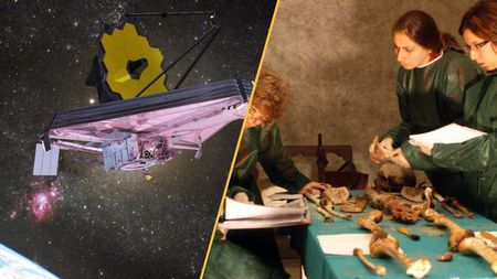 A telescope floats above Earth on the left, and three women inspect a skeleton on the right.