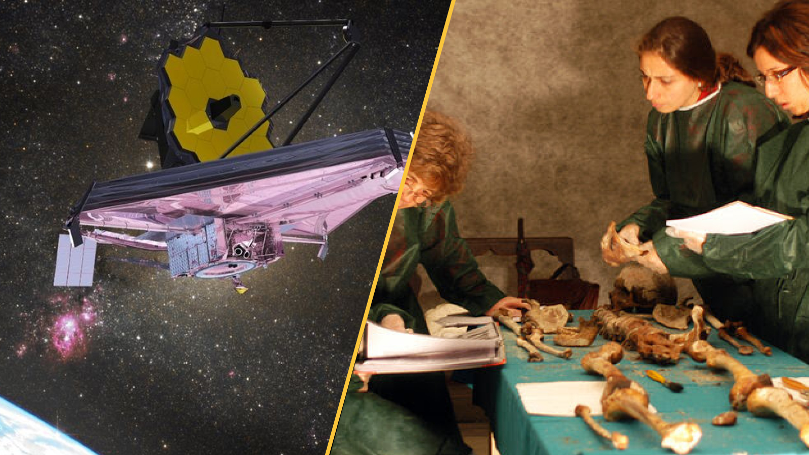 A telescope floats above Earth on the left, and three women inspect a skeleton on the right.