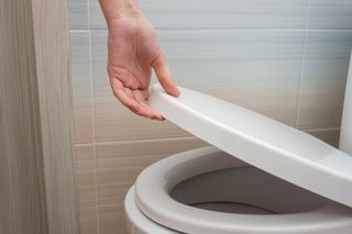 A hand holding a white toilet seat open.