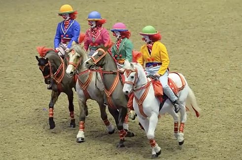 Saffron Walden &amp; District Riding Club
