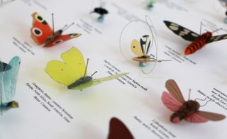 Curiousity Cloud Prototypes Insects
