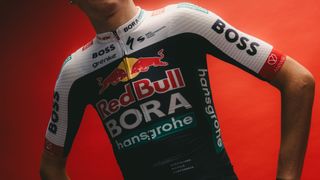 Red Bull-Bora-Hansgrohe kit