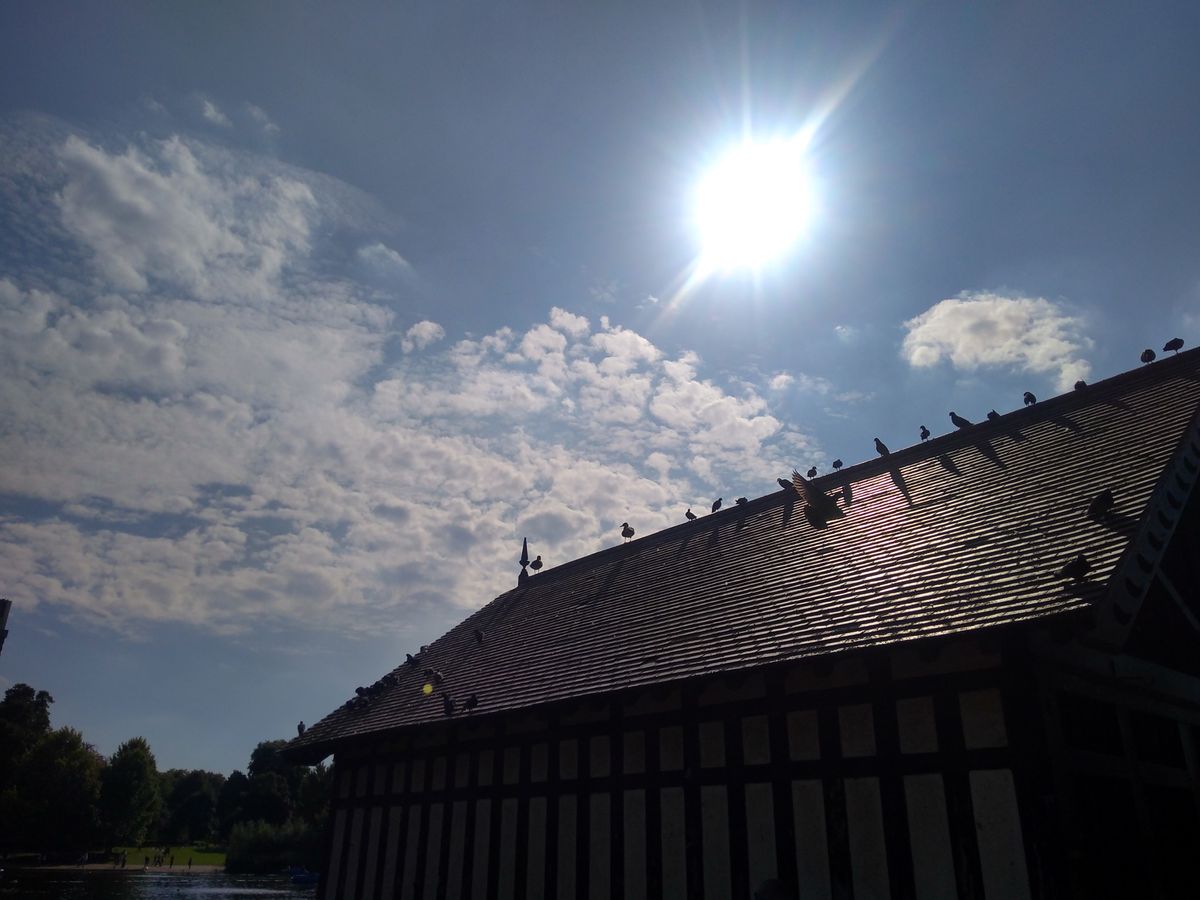 Shooting straight into the sun with an affordable phone? Not a bad result at all.